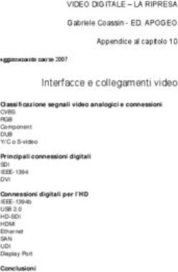 Interfacce e collegamenti video
