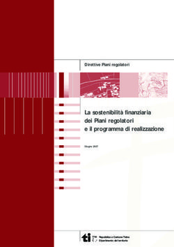 La sostenibilità finanziaria dei Piani regolatori e il programma di realizzazione - Direttive Piani regolatori