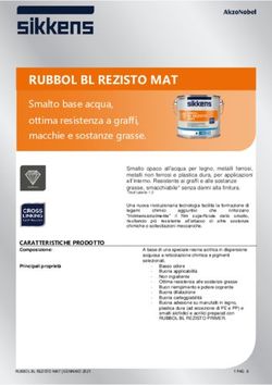 RUBBOL BL REZISTO MAT - Smalto base acqua, ottima resistenza a graffi, macchie e sostanze grasse - Sikkens