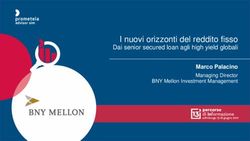 I nuovi orizzonti del reddito fisso - Dai senior secured loan agli high yield globali - Prometeia