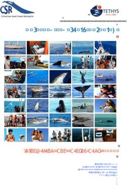 Cetacean Sanctuary Research - Informazioni per i partecipanti 2018 - Whales and Dolphins in the ...