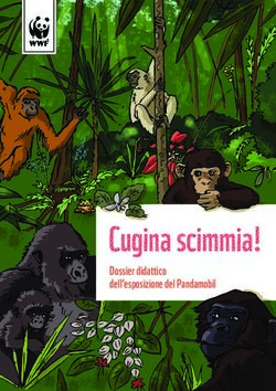 Cugina scimmia! Dossier didattico dell'esposizione del Pandamobil - WWF Schweiz