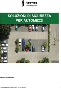 SOLUZIONI DI SICUREZZA - SOLUZIONI DI SICUREZZA SATELLITARE - Sistema di ...