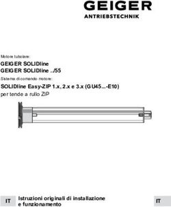 GEIGER SOLIDline GEIGER SOLIDline ../55 - per tende a rullo ZIP - GEIGER Antriebstechnik