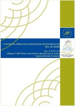 CONTESTO OPERATIVO:SISTEMI DI MONITORAGGIO DEL RUMORE - Allegato 2 dell'Abacus sul contesto operativo per le zone a bassa emissione di rumore