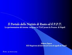 Il Portale delle Notizie di Reato ed il P.P.T - La sperimentazione del sistema integrato in TIAP presso la Procura di Napoli - Procura di Bologna