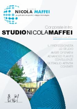 STUDIONICOLAMAFFEI Corporate intro - NICOLA MAFFEI