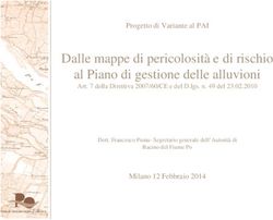 Dalle mappe di pericolosità e di rischio al Piano di gestione delle alluvioni