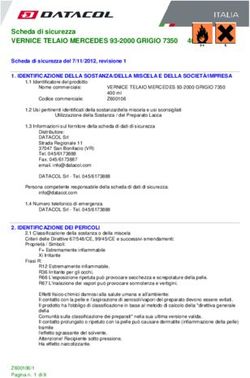 VERNICE TELAIO MERCEDES 93-2000 GRIGIO 7350 400 ml