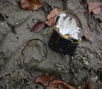 Gli investigatori del bosco - Alla ricerca di tracce e indizi