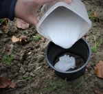 Gli investigatori del bosco - Alla ricerca di tracce e indizi