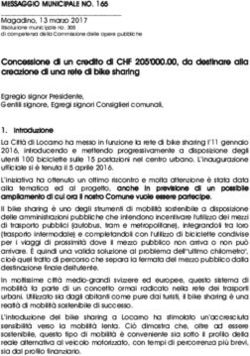Concessione di un credito di CHF 205'000.00, da destinare alla creazione di una rete di bike sharing