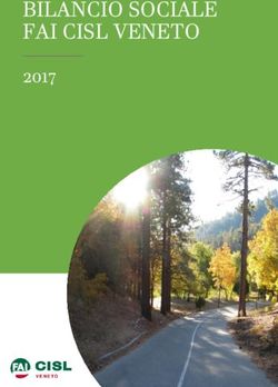 BILANCIO SOCIALE FAI CISL VENETO 2017