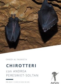 CHIROTTERI con ANDREA PERESWIET-SOLTAN - CHIEDI AL FAUNISTA - Associazione Faunisti Veneti