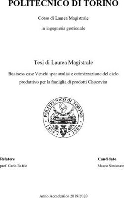 POLITECNICO DI TORINO - Webthesis