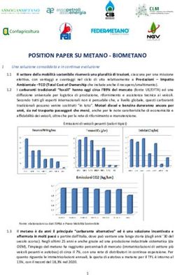 POSITION PAPER SU METANO - BIOMETANO - Cluster ...