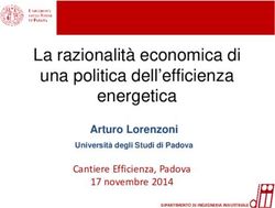 La razionalità economica di una politica dell'efficienza energetica - Arturo Lorenzoni