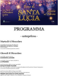 PROGRAMMA - anteprima - PROMO D