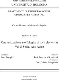 UNIVERSIT&Agrave; DI BOLOGNA - AMS Tesi di Laurea