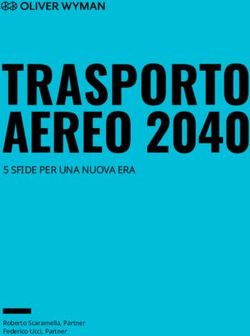 TRASPORTO AEREO 2040 5 SFIDE PER UNA NUOVA ERA - Roberto Scaramella, Partner Federico Ucci, Partner - Oliver Wyman