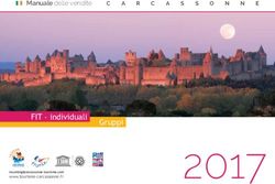 FIT - individuali Gruppi - Carcassonne