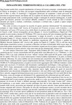 IMMAGINI DEL TERREMOTO DELLA CALABRIA DEL 1783