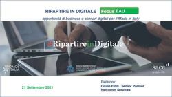 EAU RIPARTIRE IN DIGITALE Focus Giappone - Relatore: Promos Italia