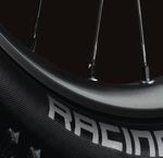 RACING RAY RACING RALPH - DOING IS LIKE WANTING. JUST BETTER - Schwalbe