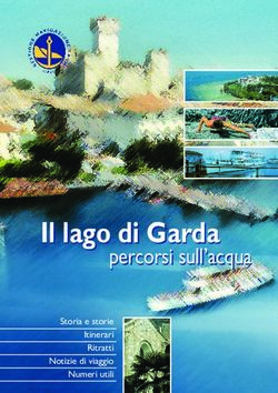 Il lago di Garda percorsi sull'acqua - Navigazione Laghi