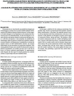 PIATTAFORMA RADAR PER IL MONITORAGGIO IN CONTINUO DI UNA FRANA CHE INTERAGISCE CON UNA GRANDE INFRASTRUTTURA IN COSTRUZIONE A RADAR PLATFORM FOR ...