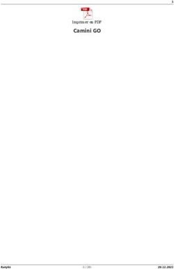 Camini GO Imprimer en PDF - Konyks