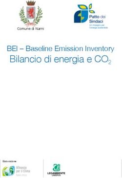 Bilancio di energia e CO2 - BEI - Baseline Emission Inventory Comune di Narni