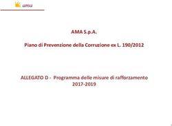 AMA S.p.A. Piano di Prevenzione della Corruzione ex L. 190/2012 ALLEGATO D Programma delle misure di rafforzamento 2017 2019