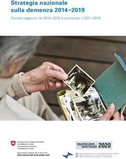 Strategia nazionale sulla demenza 2014 2019 - Risultati raggiunti nel 2014-2016 e priorità per il 2017-2019 - BAG