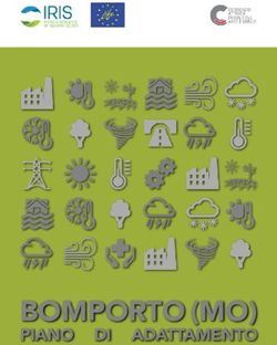BOMPORTO (MO) PIANO DI ADATTAMENTO - Consorzio Attività Produttive
