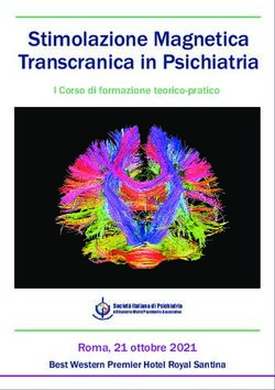 Stimolazione Magnetica Transcranica in Psichiatria - Duerre ...