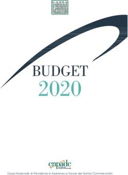 2020 BUDGET - Cassa Nazionale di Previdenza e Assistenza a favore dei Dottori Commercialisti - CNPADC
