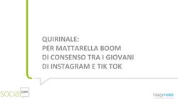 QUIRINALE: PER MATTARELLA BOOM DI CONSENSO TRA I GIOVANI DI INSTAGRAM E TIK TOK