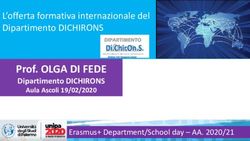 Prof. OLGA DI FEDE Dipartimento DICHIRONS - L'offerta formativa internazionale del Dipartimento DICHIRONS - Unipa
