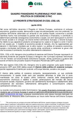 QUADRO FINANZIARIO PLURIENNALE POST 2020, POLITICA DI COESIONE E PAC - Cgil