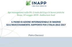 IL PIANO DI AZIONE INTERNAZIONALE DI MADRID SULL'INVECCHIAMENTO. RAPPORTO PER L'ITALIA 2012-2017 - Age management nella PA: il ruolo del Cug e le ...