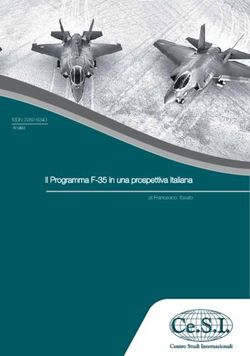 Il Programma F-35 in una prospettiva italiana - Centro Studi ...