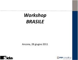 Workshop BRASILE Ancona, 28 giugno 2011