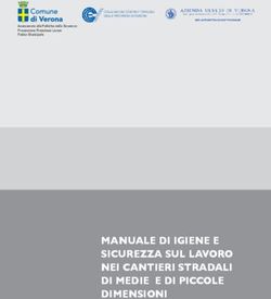 MANUALE DI IGIENE E SICUREZZA SUL LAVORO NEI CANTIERI STRADALI DI MEDIE E DI PICCOLE DIMENSIONI