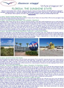 FLORIDA, THE SUNSHINE STATE - Flumen Viaggi