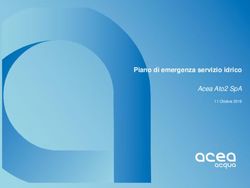 PIANO DI EMERGENZA SERVIZIO IDRICO - ACEA ATO2 SPA - FESTIVAL ...