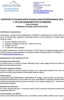 CAMPIONATO ITALIANO MOTO D'ACQUA CIRCUITO/ENDURANCE 2013 1 GP LAGO MAGGIORE CITT&Agrave; DI VERBANIA