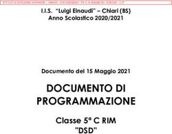 DOCUMENTO DI PROGRAMMAZIONE - "DSD" Classe 5ª C RIM - I.I.S. "Luigi Einaudi" - Chiari (BS) - IIS Einaudi
