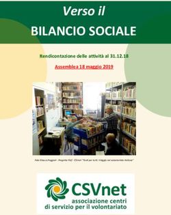BILANCIO SOCIALE Verso il - Rendicontazione delle attivit&agrave; al 31.12.18 Assemblea 18 maggio 2019 - CSVnet