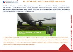 Aircraft Recovery - soccorso e recupero aeromobili - Piemme & Matacena